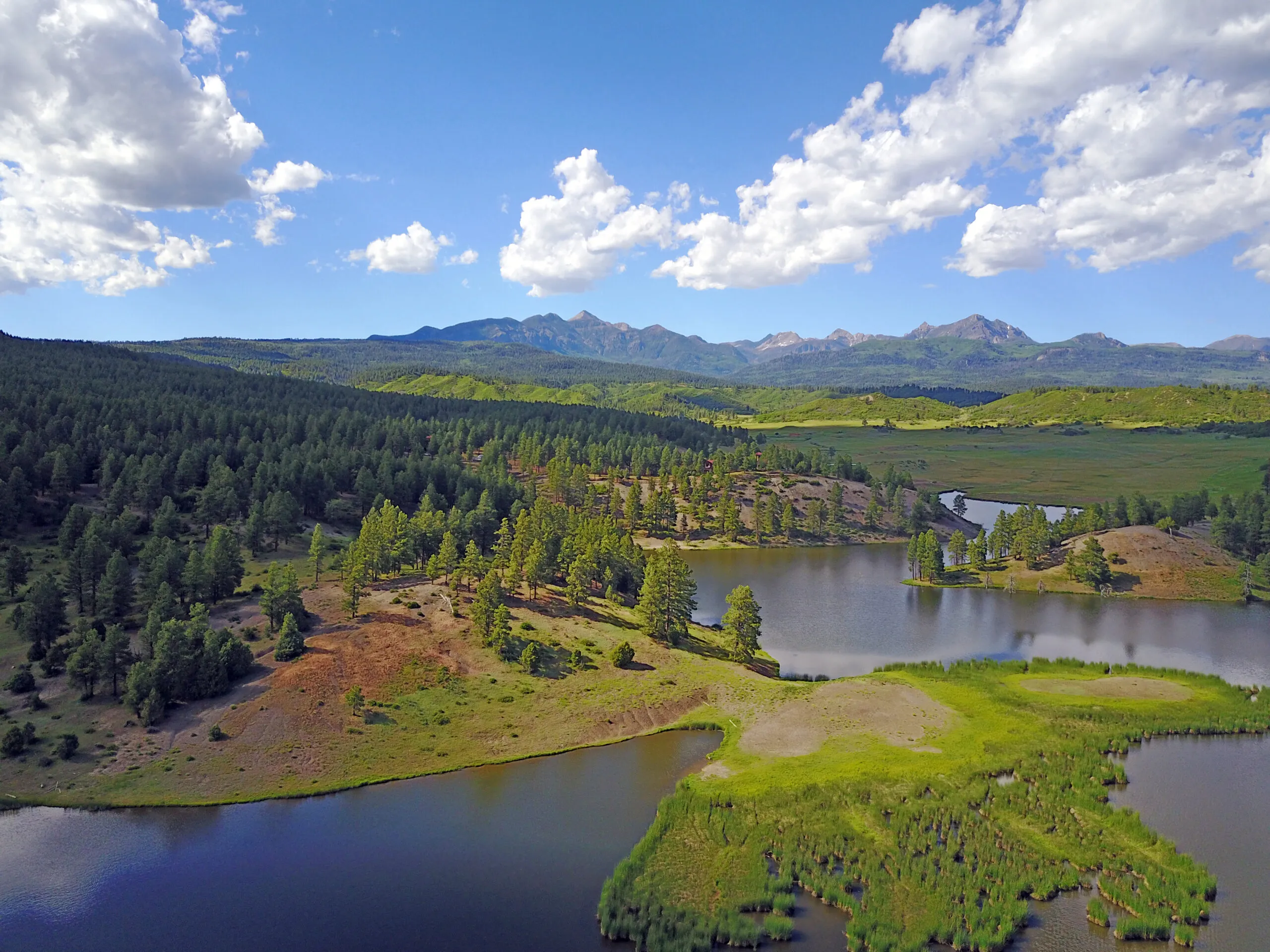Bill Kinsley Pagosa Springs Real Estate